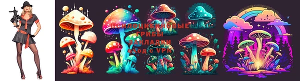 ешки Армянск