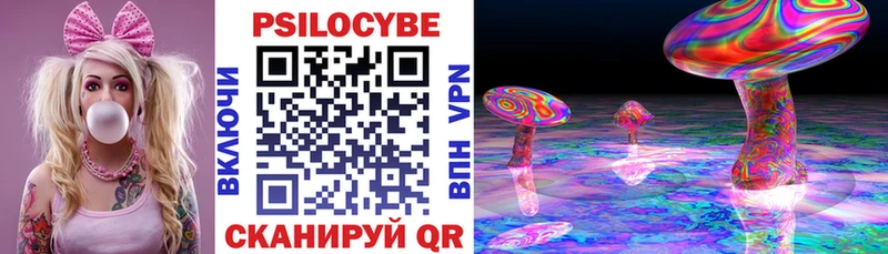 Галлюциногенные грибы Psilocybe  ссылка на мегу онион  Гусь-Хрустальный  как найти закладки 