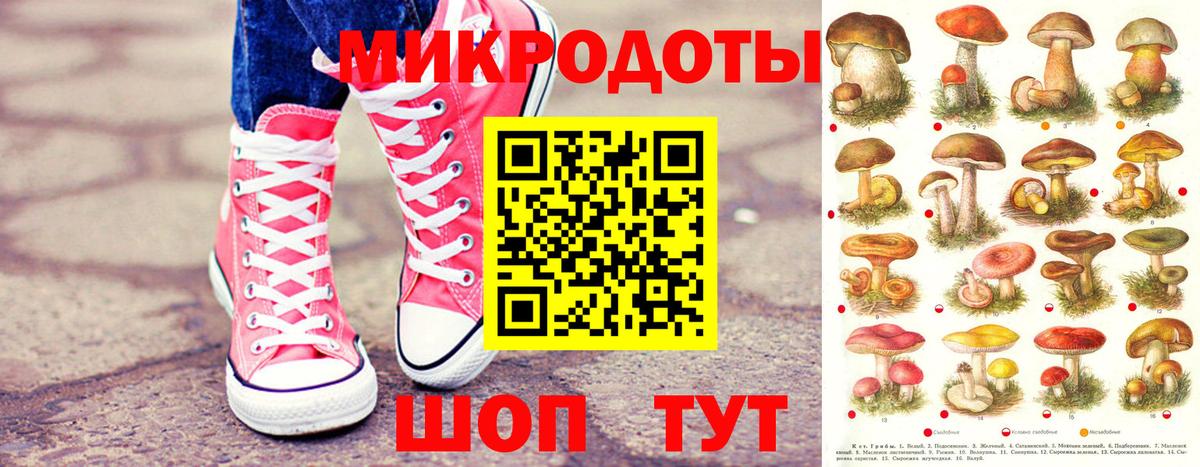 Галлюциногенные грибы GOLDEN TEACHER Гусь-Хрустальный
