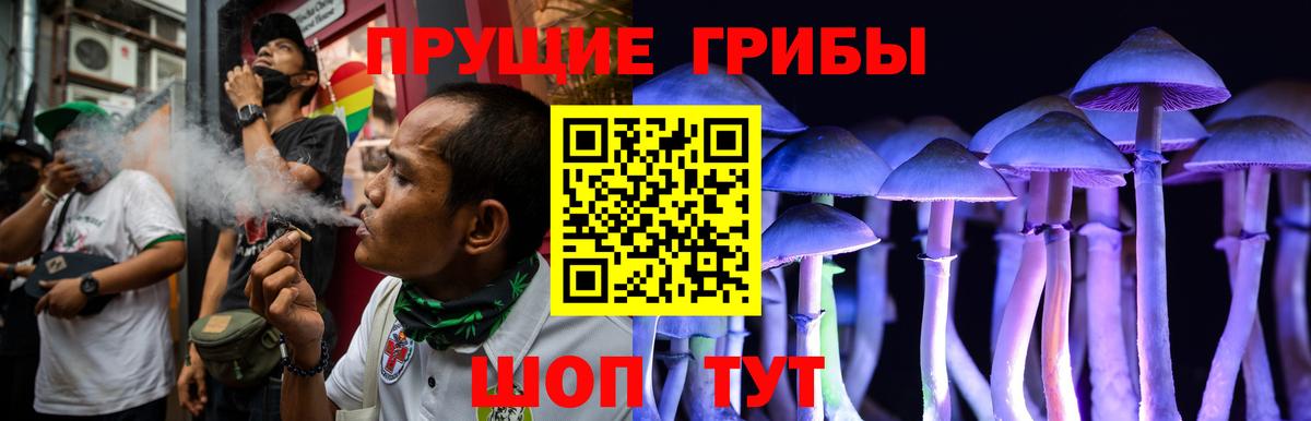Галлюциногенные грибы Cubensis  Вход с VPN  Гусь-Хрустальный 